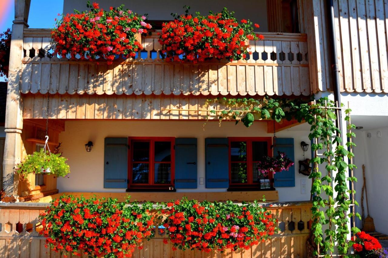 Gaestehaus Wild-Schuetz Schwangau Exteriér fotografie